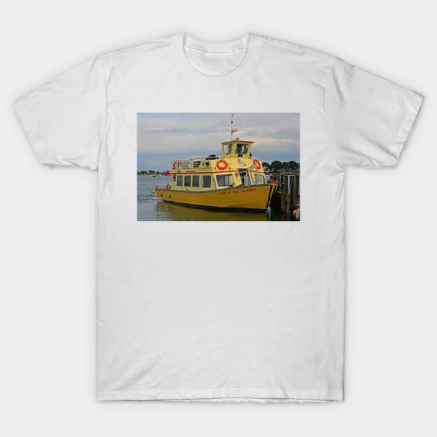 Maid of the Islands T-Shirt by RedHillDigital